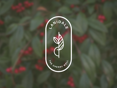 Logo | Lanidale, The Cherry Well branding food identity logo logotype minimal