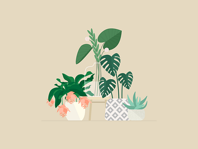 Illustration | Plants 🌿 composition flat flowers green illustration julie charrier minimal nature plants sketchapp ui vector visual