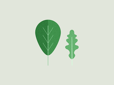 Illustration | Veggie 🥗 arugula flat food illustration julie charrier lettuce minimal plant illustration rocket salad sketchapp ui vector