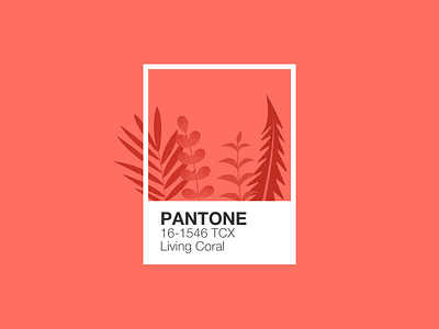 Illustration | Pantone 🦑 coral flat illustration julie charrier minimal pantone plants sketchapp ui vector