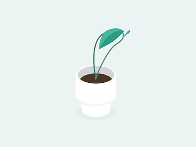 Illustration | Plant 🌿 illustration julie charrier leaf minimal plant plant illustration plants pot sketchapp ui vector