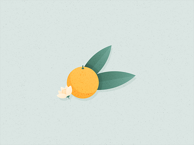 Illustration | Clementine 🍊 clementine flat food food illustration fruit illustration julie charrier minimal sketchapp vector vegan veggie