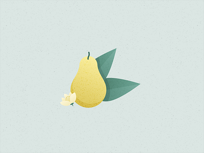 Illustration | Pear 🍐