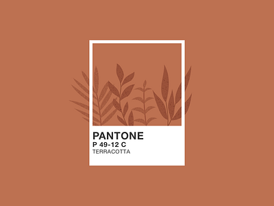 Illustration | Pantone 🎨 brown classic blue color flat illustration julie charrier minimal minimalism natural pantone pantone2020 plant illustration plants terracotta