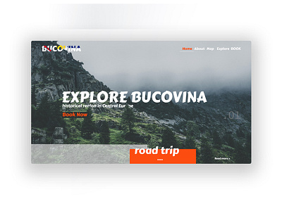 Bucovina Landing Page card landing page romania ui woods