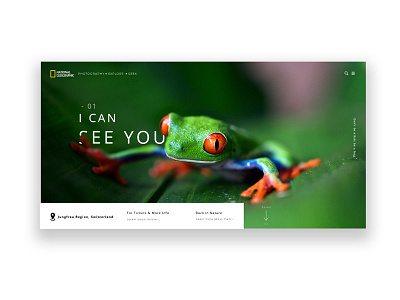 National Geographic Animal Page - Frog animal design frog geographic national nature page ui ux web