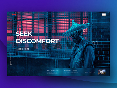 Seek Discomfort Landing Page