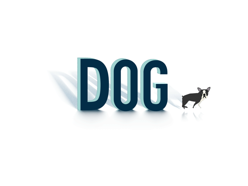 Dog 2d after effects animation character design letters shape layers