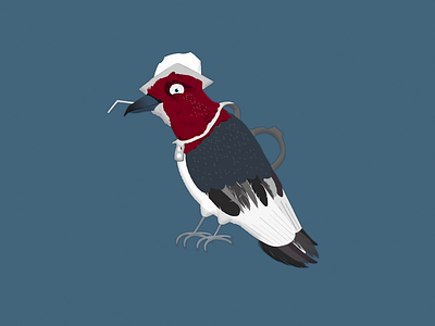 Talking woodpecker 2d 2d animation after effects animation bird bird illustration character design illustration motion design