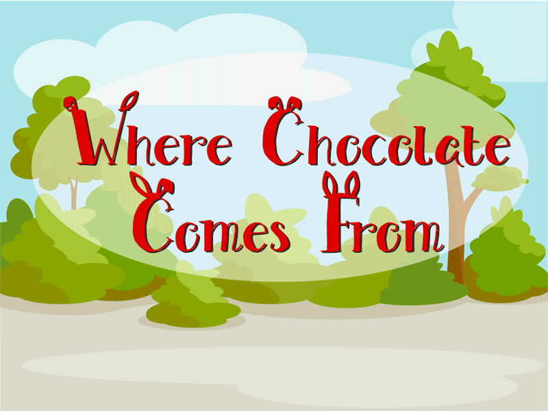 Where Chocolate Comes From animation arrin bunny cartoon illustrator photoshop