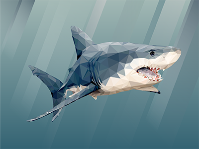 Shark Poly arrin lafreniere illustrator shark shark week