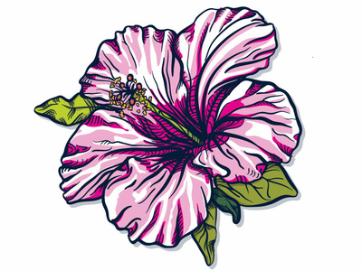 Hibiscus Flower arrin art botanicals digital flower flower clipart hibiscus illustration illustrator inking lafreniere