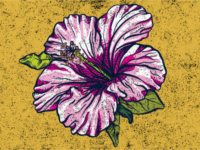 Hibiscus Flower arrin art botanical digital flower hibiscus illustration lafreniere