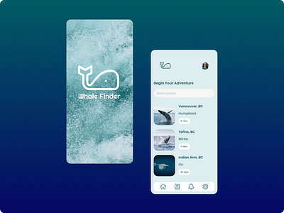 Whale Finder Mobile App Concept