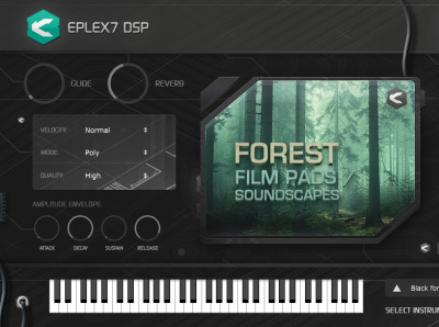 Forest film pads 1 – cinematic soundscapes plug-in instrument ambient audio cinematic dj electronic music fantasy film music music orchestral plug-in psytrance sound sounds soundscapes synth synthesizer synths vst vsti