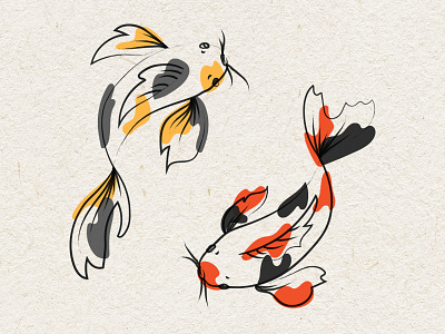 Koi design fish illustration koi