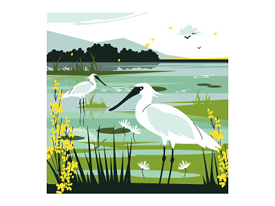 Wetlands bird ecosystem flat illustration nature preservation vector water wetlands