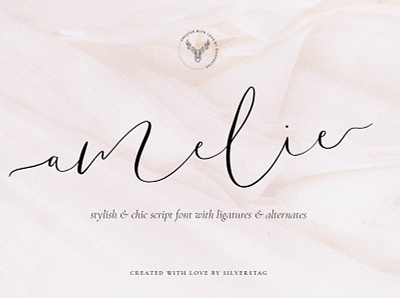 Amelie - Chic & Elegant Script Font branding branding font creative creative market elegant feminine font fonts logo script font script fonts signature signature font