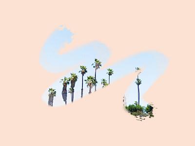 Palm trees