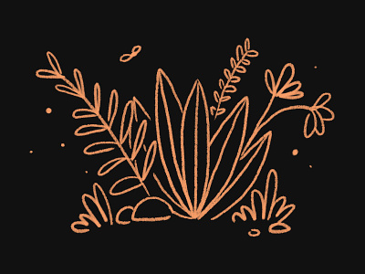 Explore something new illustration plants