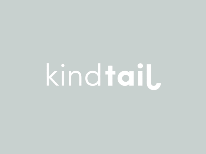 KindTail logo animation 2d 2d animation animation design dog logo logotype motion motion design simple simple logo visual identity