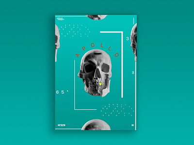 Skull Poster #329