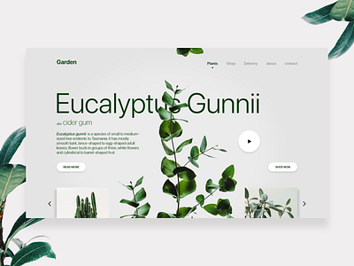 Garden clean concept creative design dribbble green homepage minimal minimalism nature plants ui ux web website white