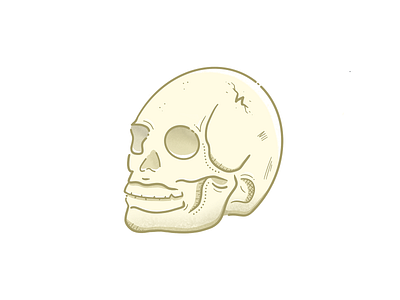 Skull apple pencil illustration procreate simple skull skull art toronto