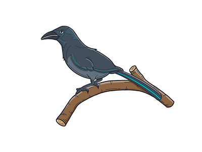 Grackle