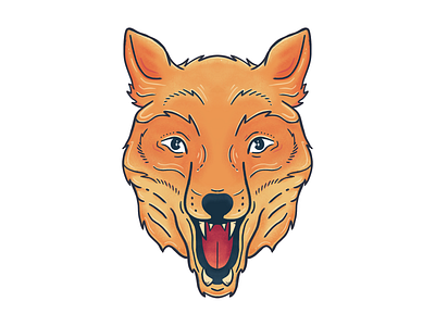Fox animal apple pencil austin fox fox face fox illustration procreate toronto