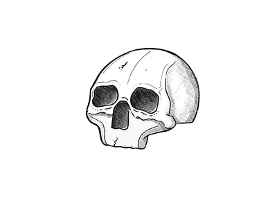 Another Skull apple pencil blackandwhite halloween hatching ipad procreate skull spooky