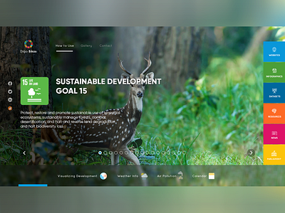 News Portal Concept Web App Design