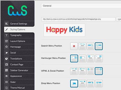 Our Theme Options Panel