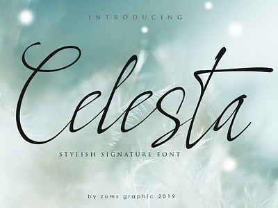 Celesta branding creative design fonts identity lettering script signature typefaces typography