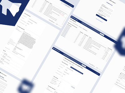 Formularz Sygnalisty - Application for reporting irregularities ui ux