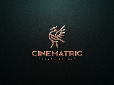 CINEMATRIC DESIGN STUDIO