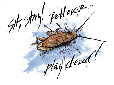 Not a roach, a waterbug acrylic paint bug illustration ink script