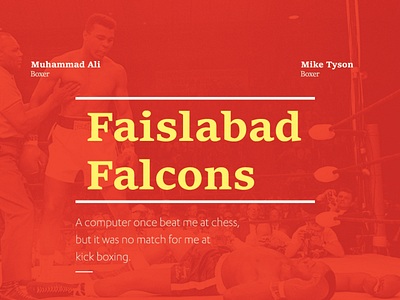 Fasilabad Falcons