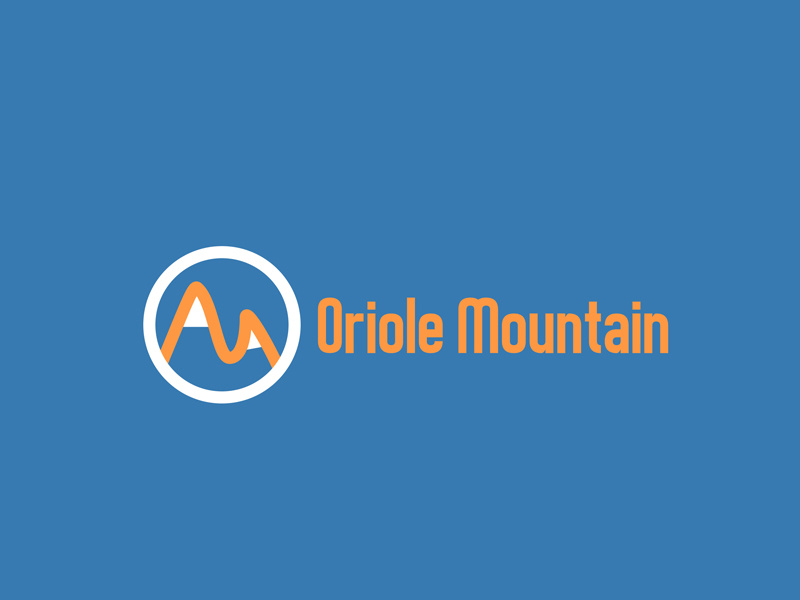 Daily Logo Challenge (Day 08/50): Ski Mountain Logo dailylogochallenge daily logo challenge brand branding wordmark ski mountain mountain