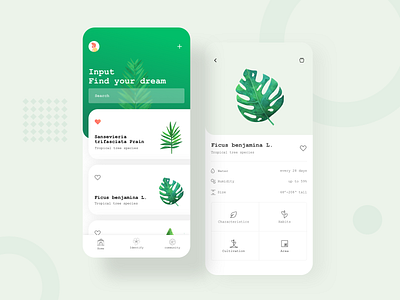 Plant APP app design green identify illustration plant ui ux