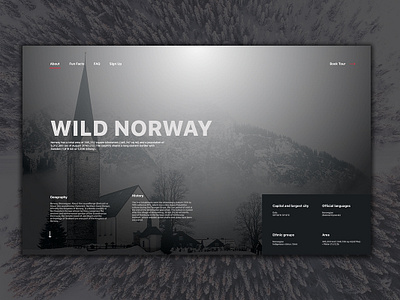 Norway clean dark landing page minimalist nature norway ui ui ux uidesign userinterfacedesign ux web design webpage