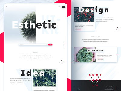 Esthetic UI Kit - Homepage