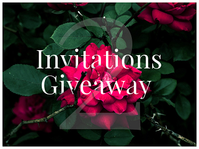 2 Dribbble Invitations debut designer dribbble free giveaway invitation invite welcome