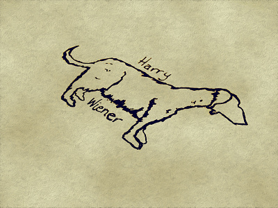 Mr. Harry Wiener dachshund dog drawing hairy pencil sketch wiener