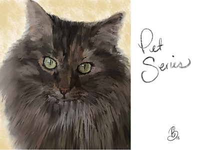 Maine Coon painting