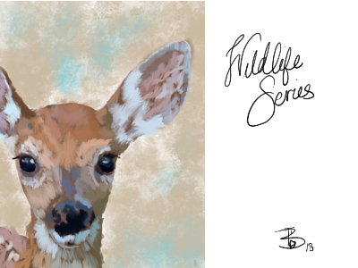 Wildlife Series deer digital painting wildlife