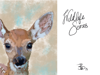 Wildlife Series