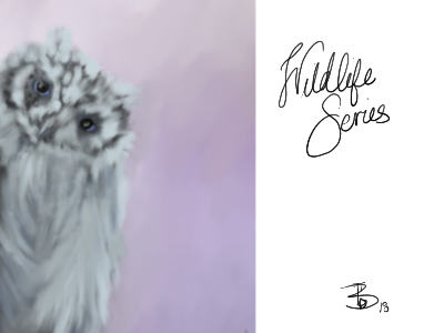 owl digital art owl wildlife