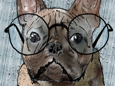 Bespeckled Bully animals bulldog eyeglasses french bulldog frenchie procreate