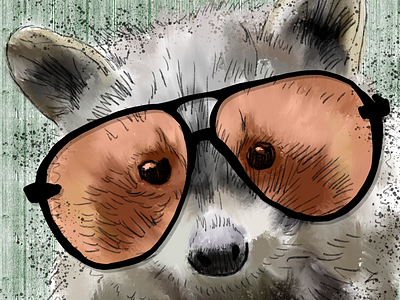 Amber lenses are best for fishing amber sunglasses animals eyeglasses raccoon